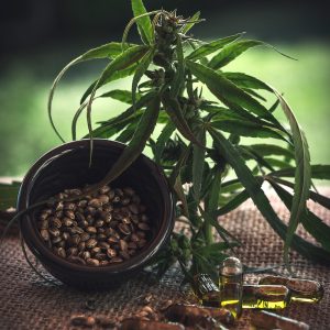 cbd, kapseln, hanf, cbd, cbd, cbd, cbd, cbd